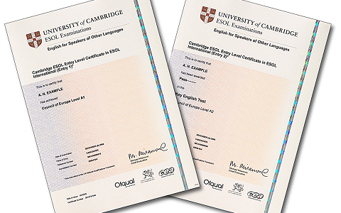 ¡He perdido mi título oficial de Cambridge English! ¡He perdido mi título oficial de Cambridge English!