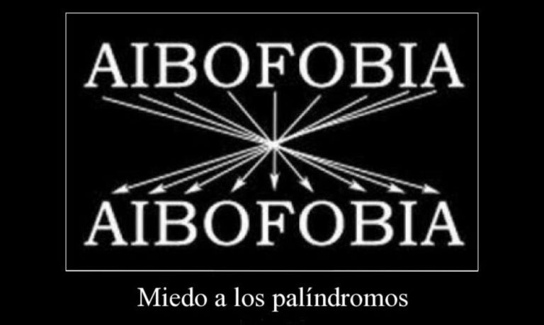 Aibofobia: el miedo a los palíndromos. – Smyth Academy